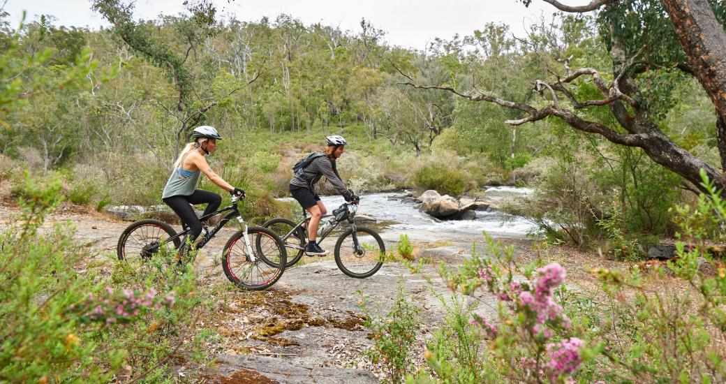 A couple ride mountain bikes through the Wellington forest 