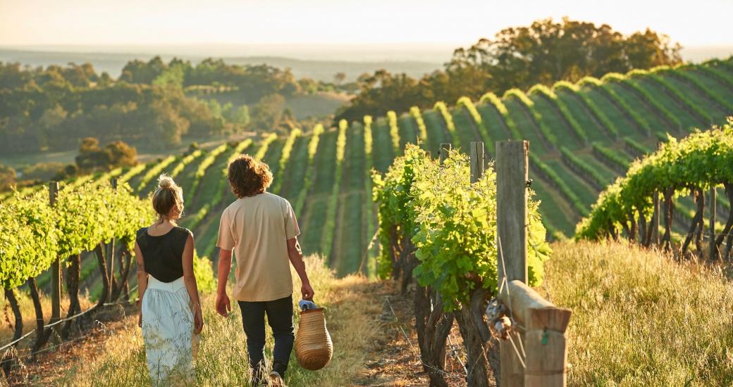 A couple walk through a vineyard with picnic hampers 