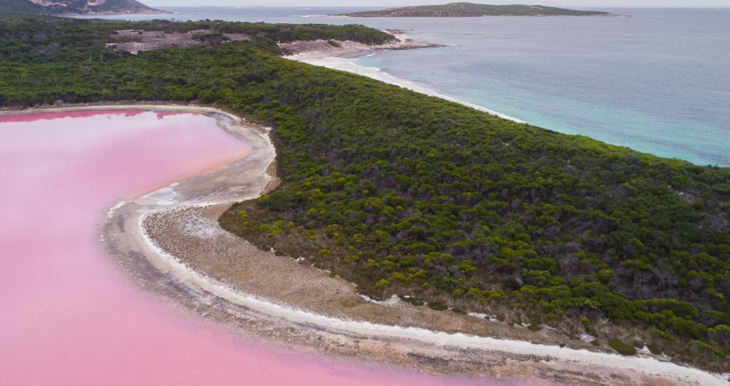 birds eye view photo of a pink lake and blue ocean to show Lake Hillier in Esperance