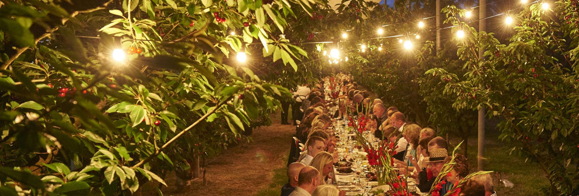long table dinner outdoors with festoon lights
