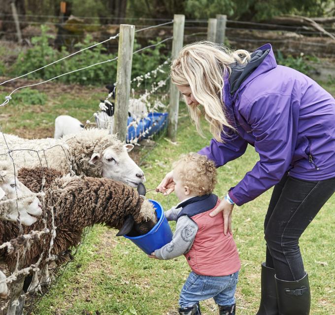 a child and mother feed sheep at a farm gate