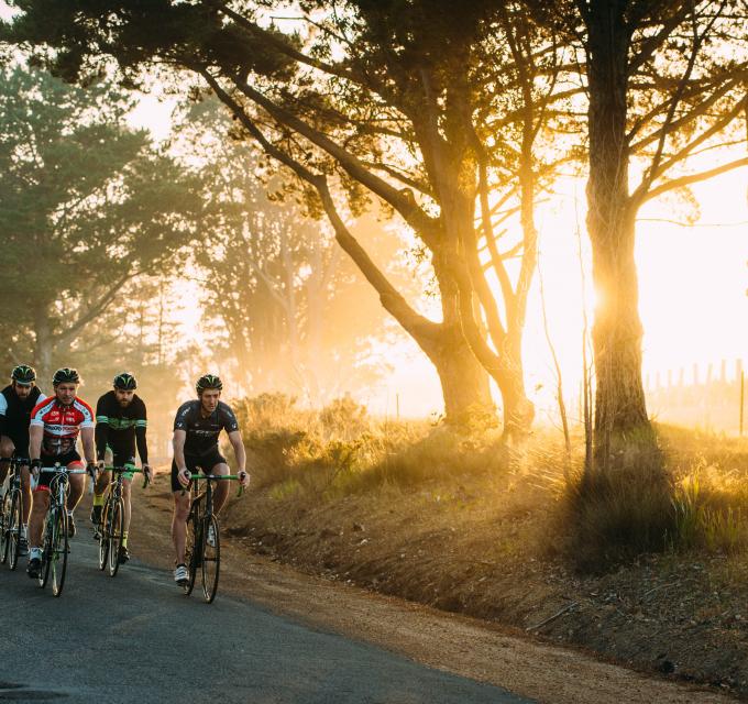 four men ride on bikes on the road with a sunset through the trees